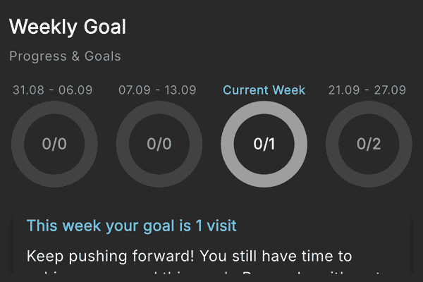 fitness progress chart on app